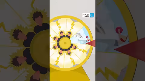 هجمات أسماك القرش: أرقام وحقائق حول عام 2023