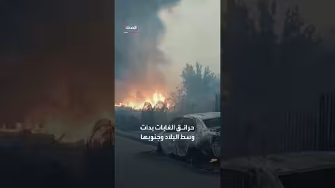 تشيلي宣布 حالة الكارثة بسبب حرائق الغابات