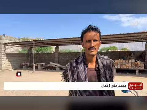 سكر مجهول يهدد حياة النحالين في أبين ويؤدي لنفوق النحل