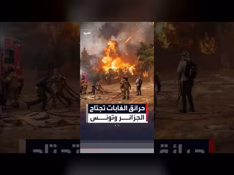 حرائق الغابات في الجزائر وتونس وسط موجة حر قياسية