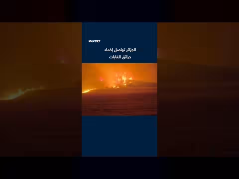 الجزائر تكافح حرائق الغابات