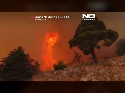 اليونان: مئات عناصر الإطفاء يكافحون حريق غابات غرب أثينا