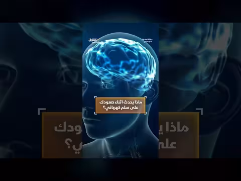 ماذا يحدث لدماغك أثناء صعودك على السلم الكهربائي