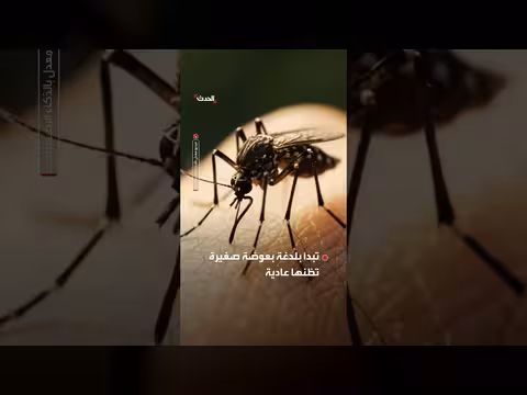 المركز الأوروبي يعلن تجاوز إصابات فيروس غرب النيل حاجز الألف حالة