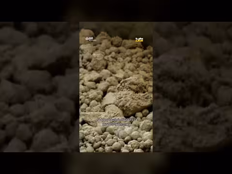 صناعة معكرونة الرامن الشهيرة في اليابان