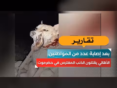 أهالي حضرموت يقتلون ذئباً مفترساً