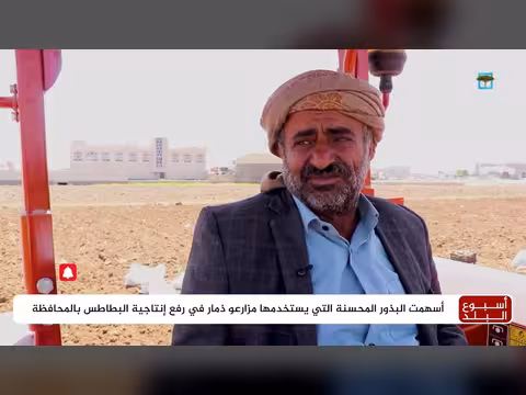ذمار تتصدر إنتاج البطاطس في اليمن