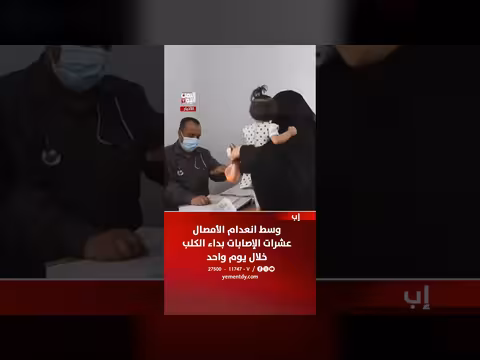 إب عشرات الإصابات بداء الكلب وسط انعدام الأمصال