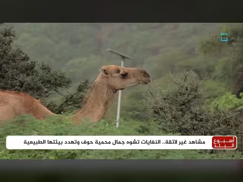 النفايات تهدد جمال وبيئة محمية حوف الطبيعية