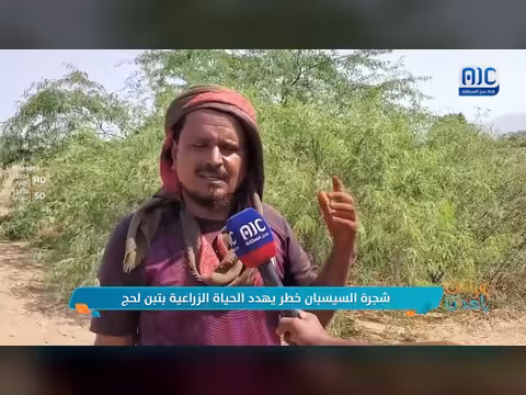 شجرة السيسبان تهديد للحياة الزراعية بتبن