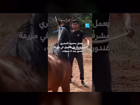 لبنان: خيول الجنوب تعاني من الأزمات