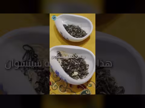 الفنان حسين فهمي يجرب الشاي الصيني