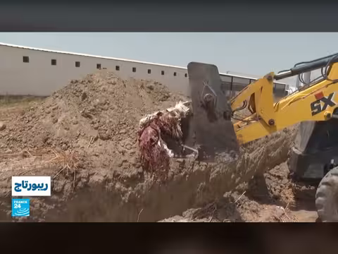 انقطاع الكهرباء في تونس يسبب خسائر فادحة لمربي الدواجن والمواشي