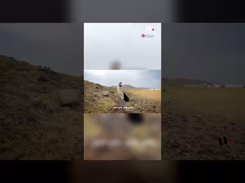 أغنية حنين هواك بصوت المنشدة ملاك فتحي