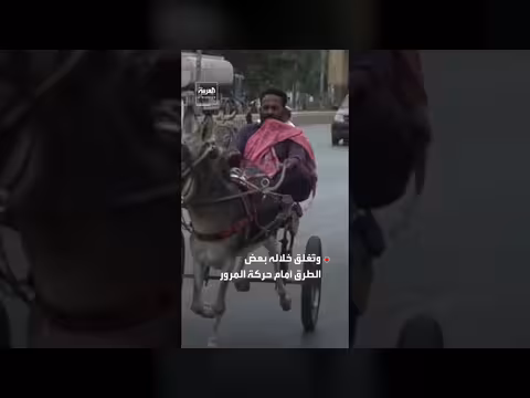 سباقات الحمير في كراتشي تقليد شعبي يثير انتقادات حقوقية