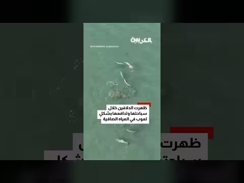 مصور سعودي يلتقط لقطات جوية نادرة للدلافين في سواحل المملكة