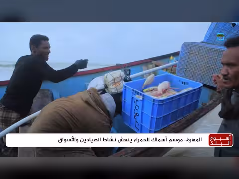 موسم أسماك الحمراء الذي ينتظره صيادو المهرة