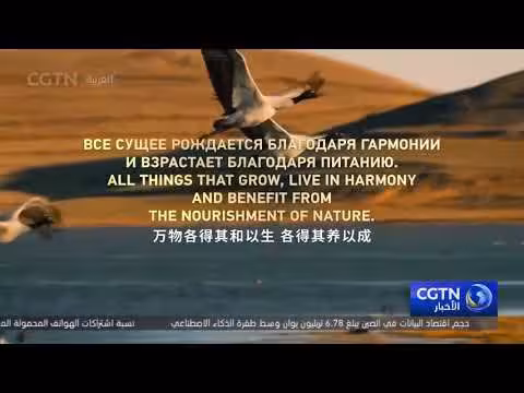 دول شانغهاي للتعاون تبث برنامج اقتباسات أدبية للرئيس شي جين بينغ