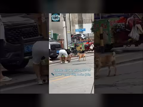 شابان ينقذان كلبًا صغيرًا في فوشان