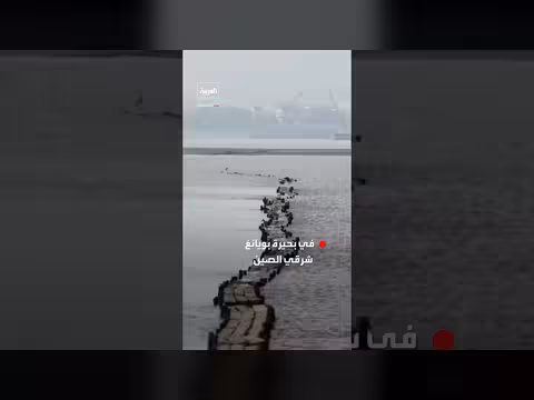 جسر أثري قديم يظهر في بحيرة بويانغ الصينية بعد انحسار المياه