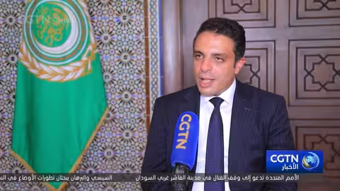 جامعة الدول العربية: وقف إطلاق النار خطوة أولى نحو حل دائم في غزة