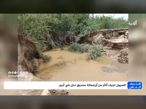 السيول تجرف أكثر من 400 صندوق نحل في أبين