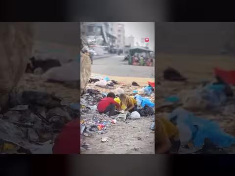 أطفال غزة يجمعون العنب من أكوام القمامة في مشهد مؤثر