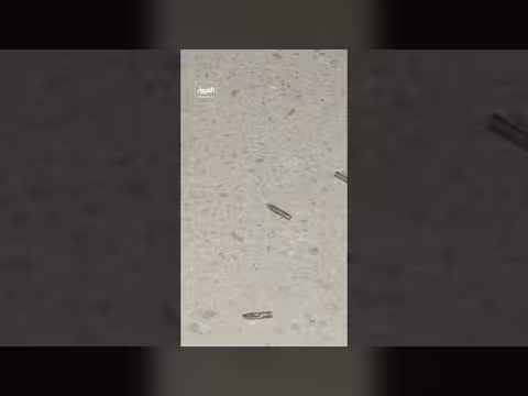 الأمن العام الأردني يكشف تفاصيل ضبط 3 مشتبه بهم في هجوم الكرك