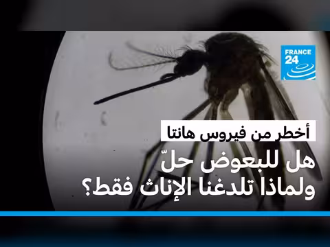أمراض البعوض: خطر أكبر من فيروس هانتا