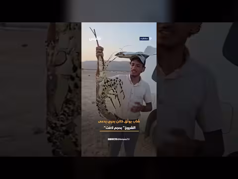 شروخ ضخمة في سقطرى