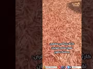 سقطرى.. نفوق جماعي للروبيان في محمية ديطو