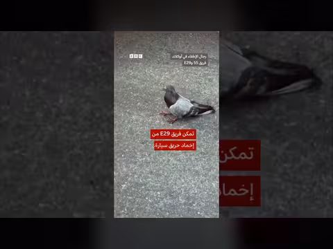 رجال إطفاء في كاليفورنيا يساعدون حمامة بقناع أكسجين
