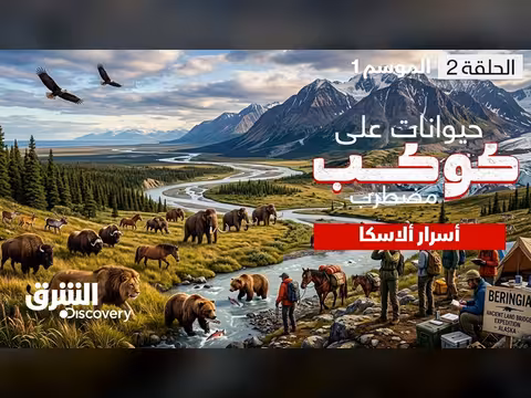 أسرار ألاسكا: نظام بيئي فريد