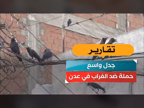 حملة ضد الغراب في عدن