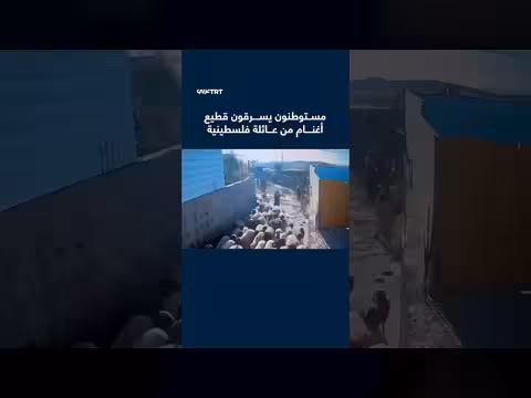 مستوطنون يسرقون قطيع أغنام فلسطيني