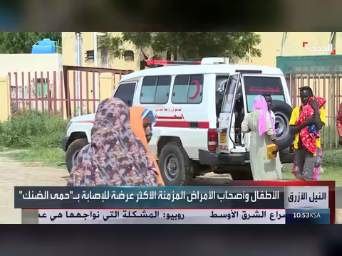 ولاية النيل الأزرق تعلن حالة طوارئ لحمى الضنك