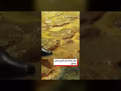 أول بطريق أفريقي مهدد بالانقراض يفقس بنجاح في الصين