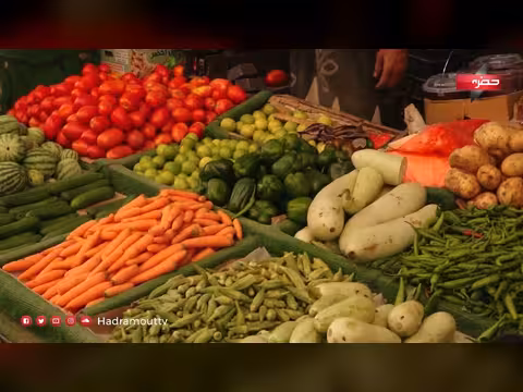 مدير زراعة حضرموت يوضح أسباب ارتفاع أسعار الخضروات والفواكه
