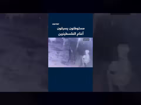 مستوطنون يسطون على أغنام الفلسطينيين في مسافر يطا جنوب الخليل