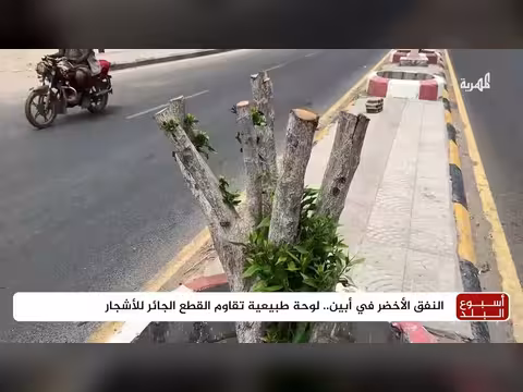 النفق الأخضر في أبين.. لوحة طبيعية تتحدى القطع الجائر للأشجار