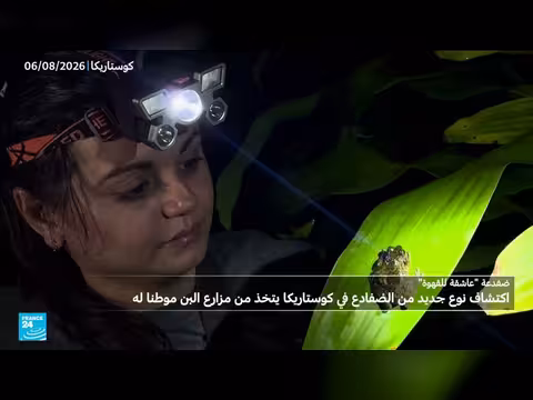 اكتشاف ضفدع جديد في كوستاريكا يعيش في مزارع البن