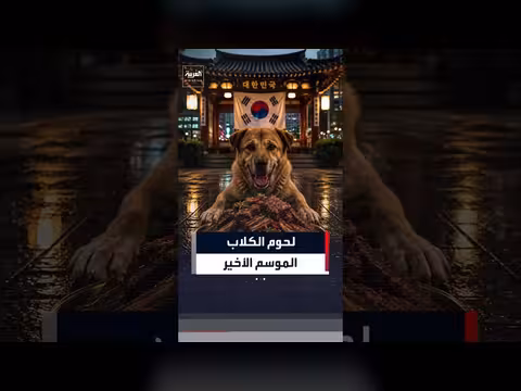 رواد مطعم في كوريا الجنوبية يتناولون لحوم الكلاب قبل الحظر