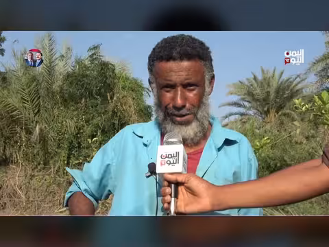 لحج: ارتفاع الطلب على الليمون في رمضان وسط شحة المياه