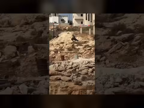جنود إسرائيليون يسرقون ثمار الزيتون من مزارع قرية المغير