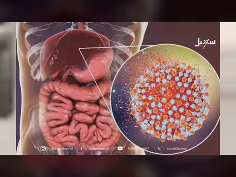 التهاب الكبد أنواع متعددة وسبل وقاية واحدة