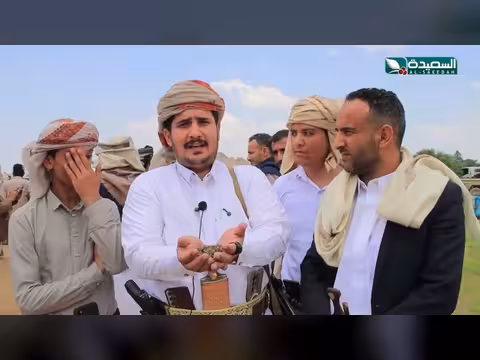 كارثة بيئية في ذمار.. سموم جوية تبيد خلايا النحل وتغضب النحالين