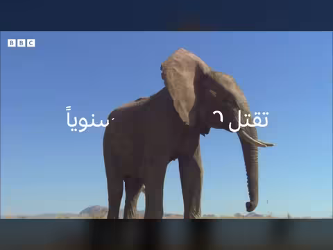 قائمة أخطر الكائنات الحية على الأرض قد تفاجئك