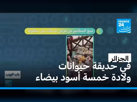 ولادة خمسة أشبال في حديقة حيوانات الجزائر