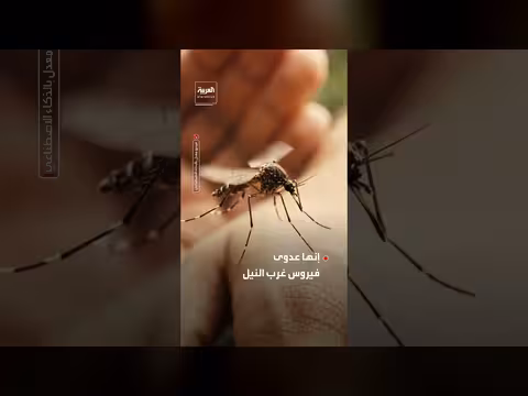المركز الأوروبي يعلن تجاوز إصابات فيروس غرب النيل حاجز الألف حالة