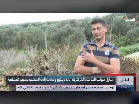 كلفة التدفئة في لبنان تجبر العائلات على تقليصها والغابات تدفع الثمن